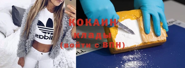 СК Новодвинск