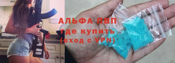 СК Новодвинск