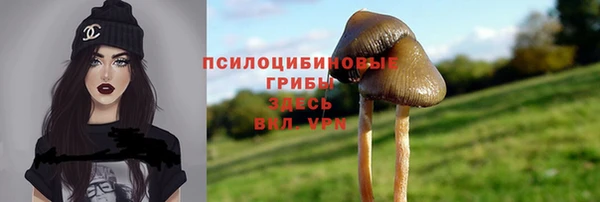 СК Новодвинск