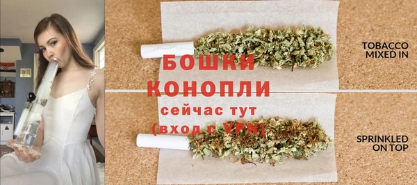СК Новодвинск