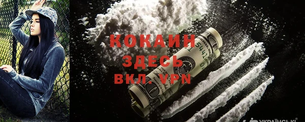 прущие грибы Новокубанск
