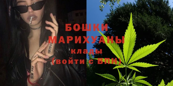 прущие грибы Новокубанск