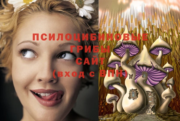 марихуана Новозыбков