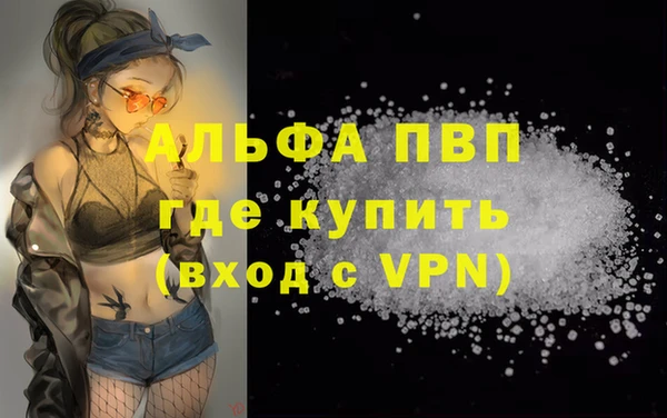 прущие грибы Новокубанск