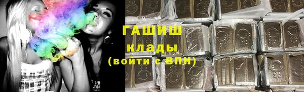 СК Новодвинск