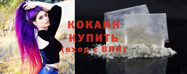 СК Новодвинск