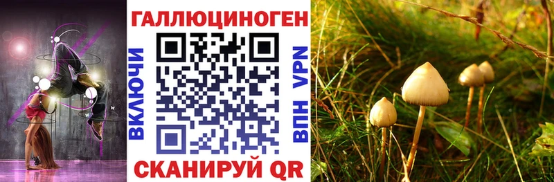 omg маркетплейс  Алушта  Псилоцибиновые грибы ЛСД 